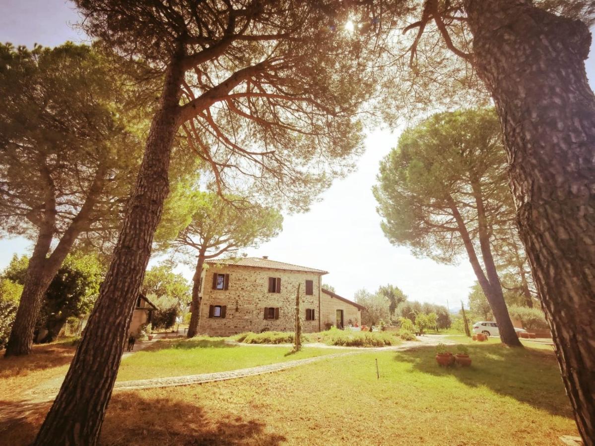 La Bertinora Bed & Breakfast Villa Verucchio Luaran gambar